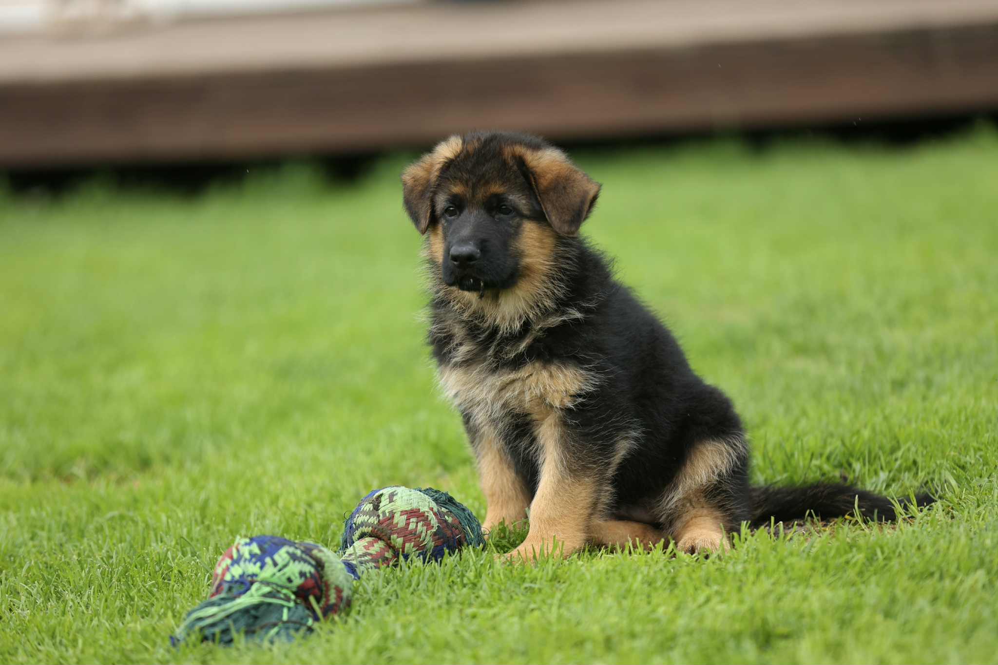 Øde VII av Svebø Øde VII av Svebø