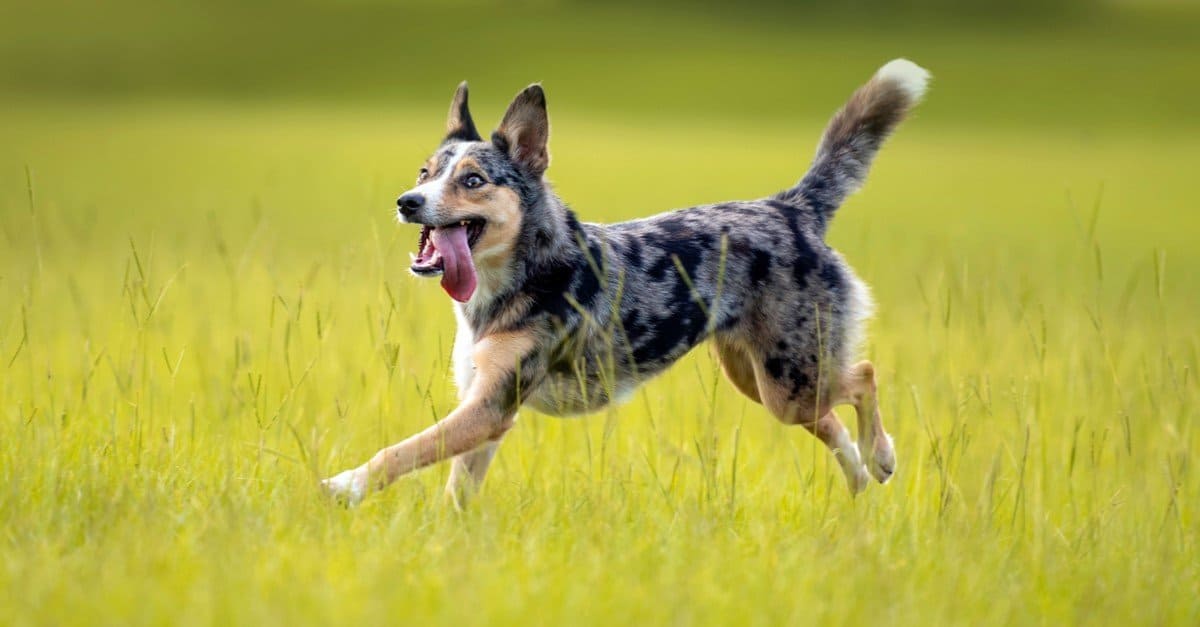 Trygghet og kvalitet