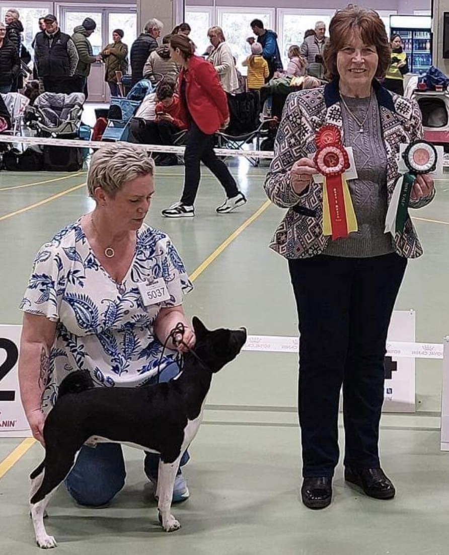 Kardohill’s Dark Wolf «Bodhi» Kardohill’s Dark Wolf «Bodhi»