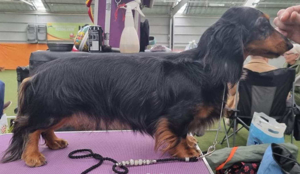 Amarita's J O Je t'aime Hu Ragna