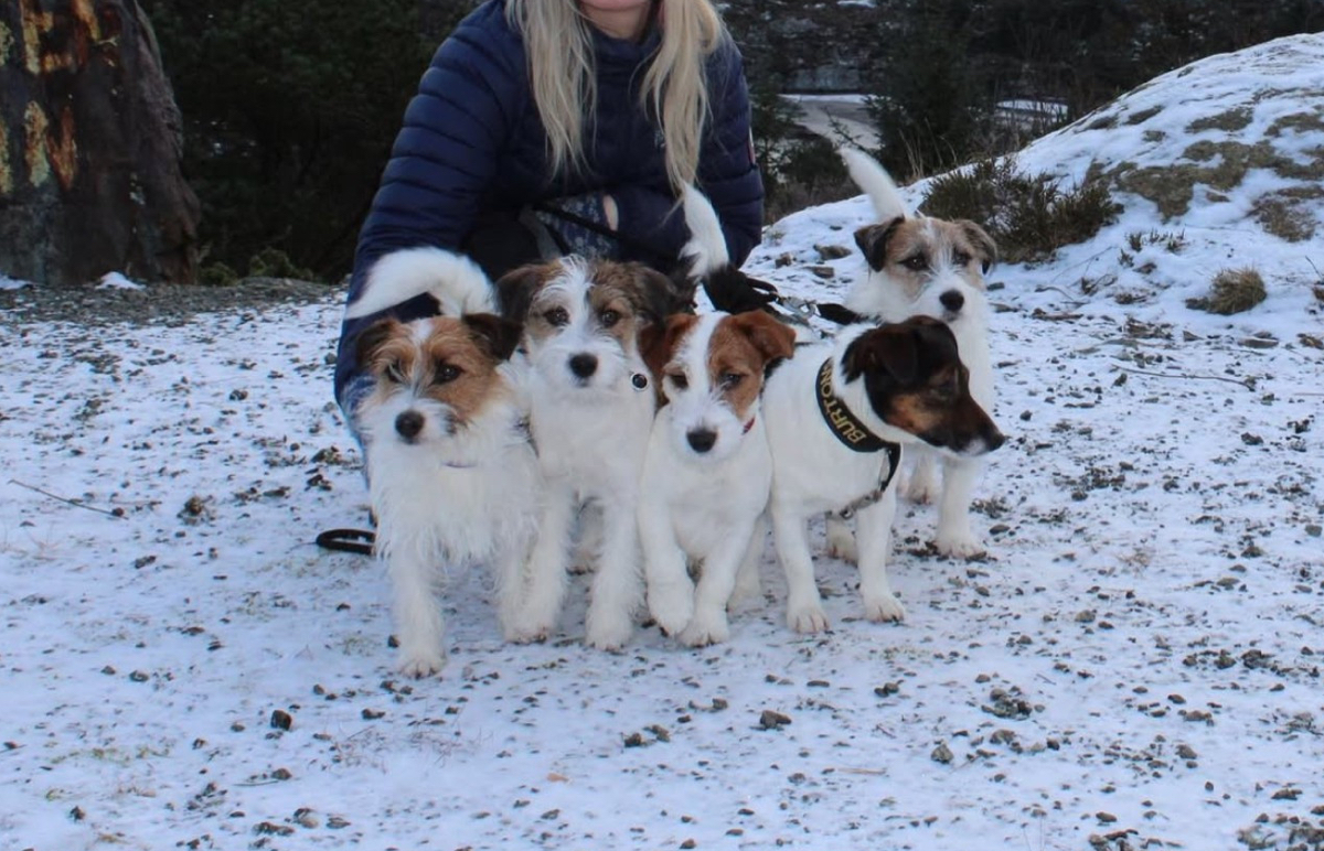 Kennel Burtonsum Kennel Burtonsum