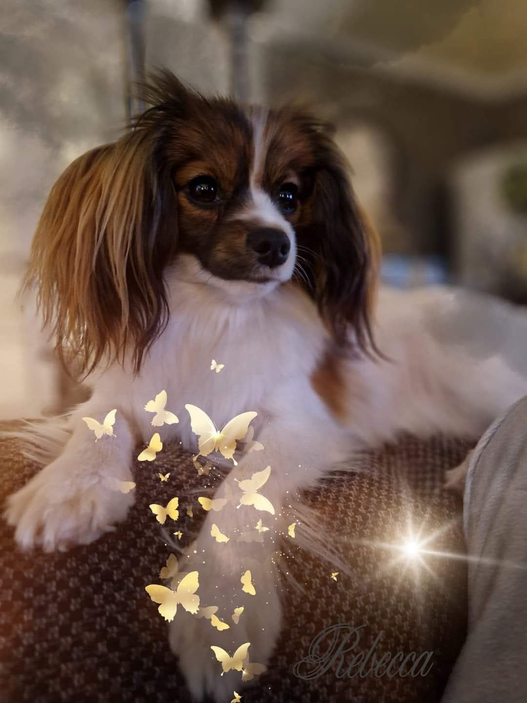 A'diors Summer Of Soul (Rebecca)