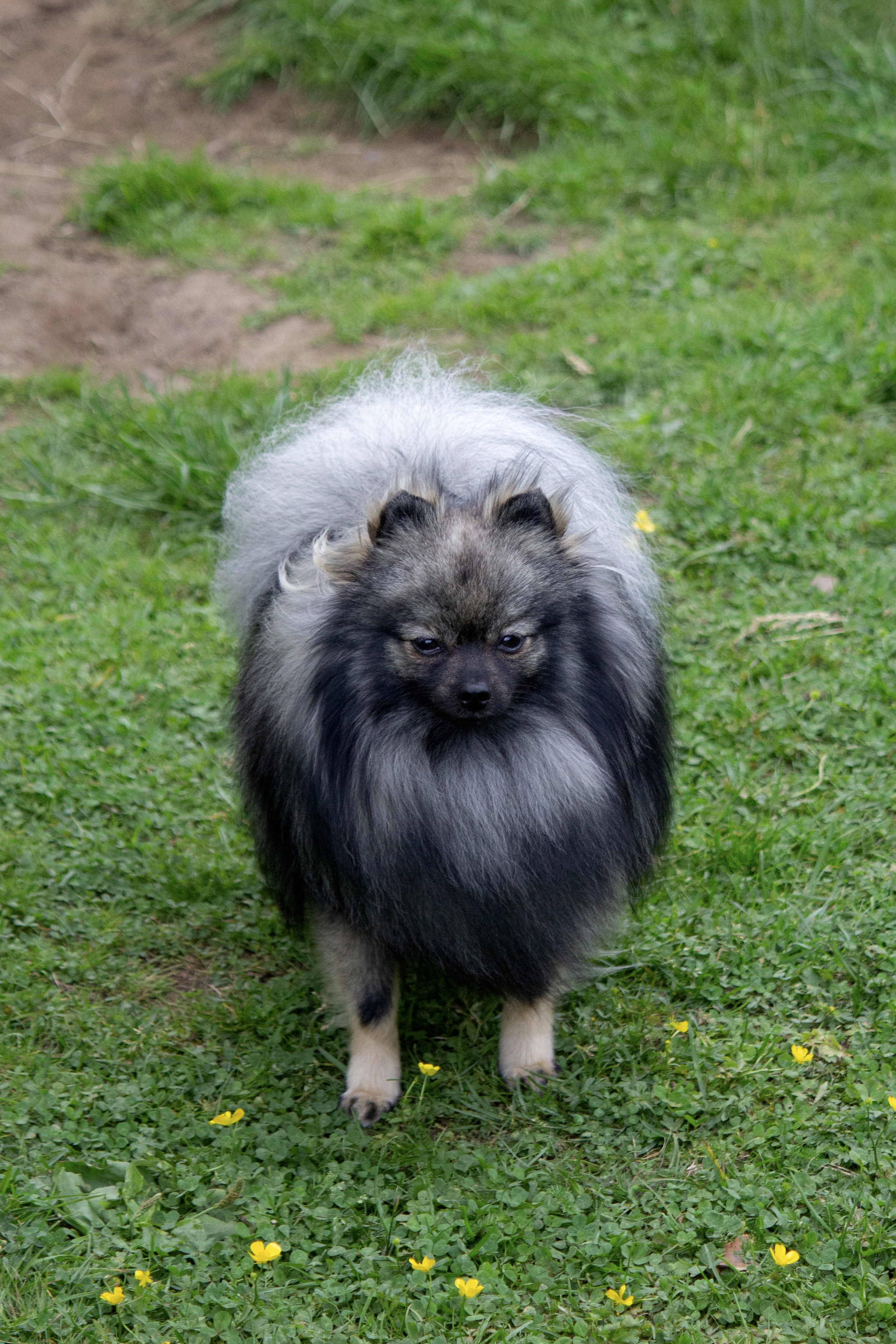 Omnia's Greatest Secret