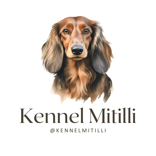 Charlotte Skindalen Charlotte Skindalen