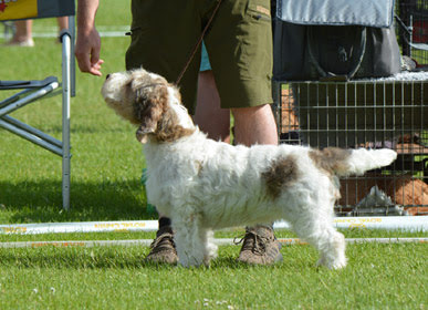 Around Years Of Passion Around Years Of Passion