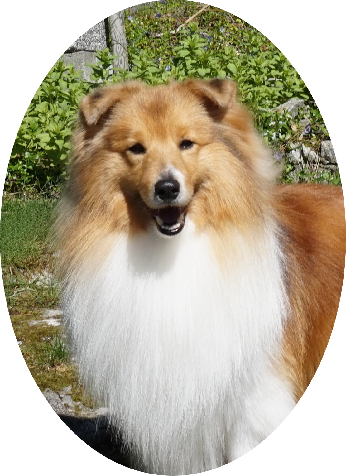 Norunn Morvik Norunn Morvik