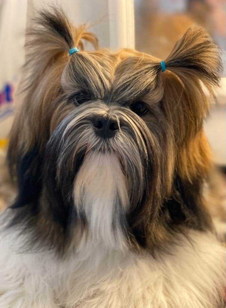 Christine Pettersen Christine Pettersen