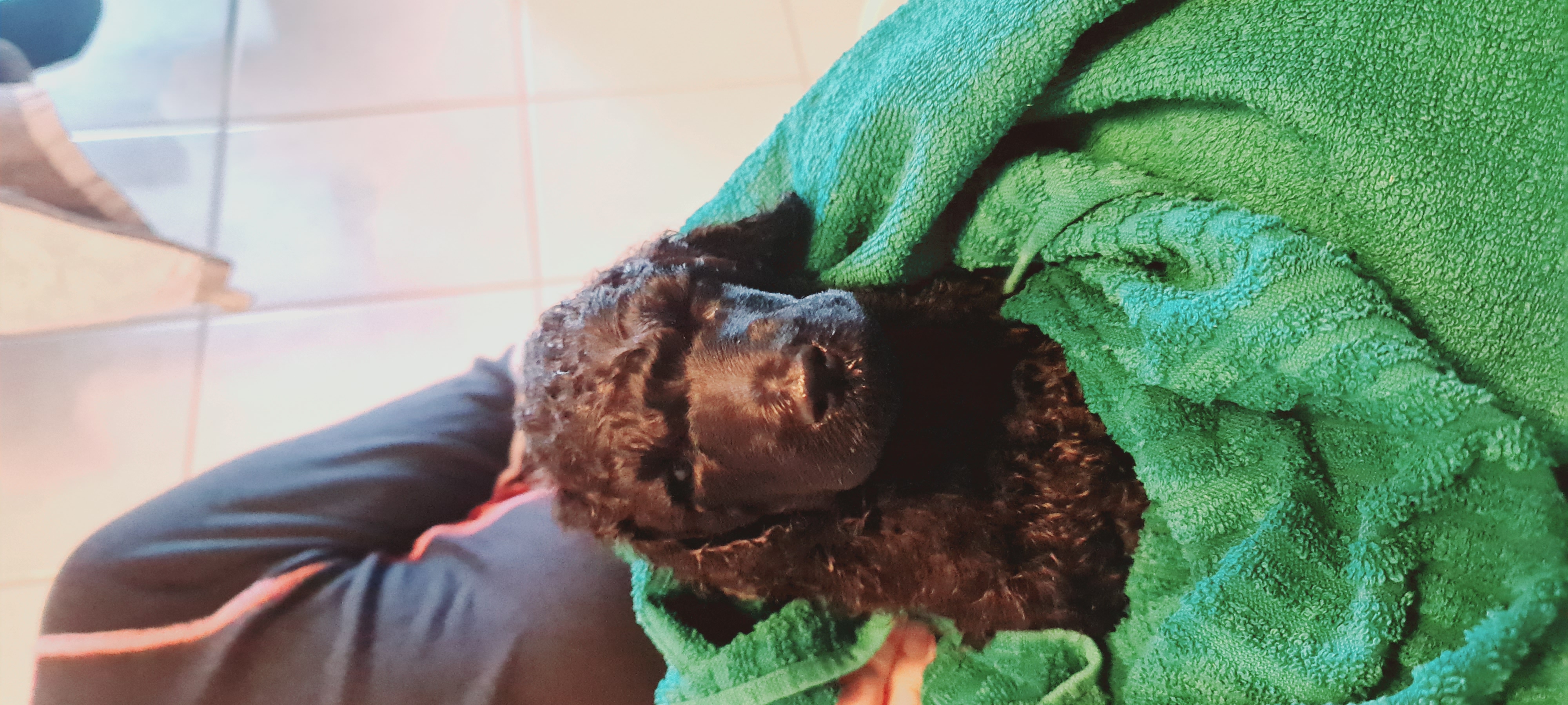 Krø'lella Vi'vil's Kanvas 