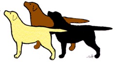 Stenstad Kennel Stenstad Kennel