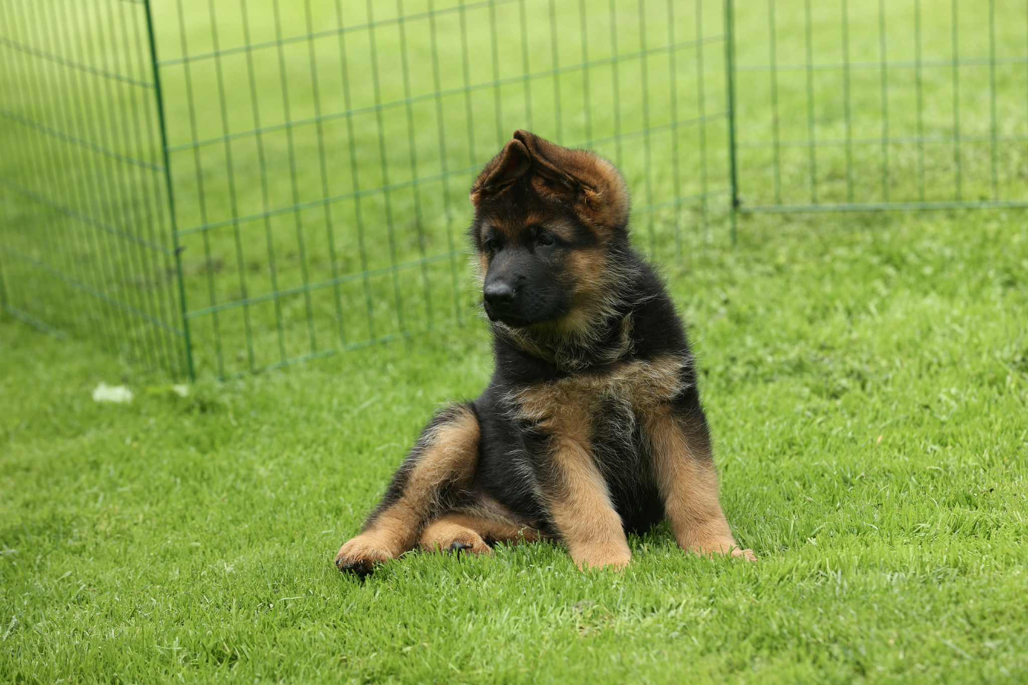 Øgrim VII Øgrim VII