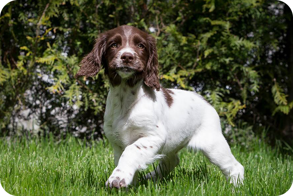 Trygghet og struktur for begge parter