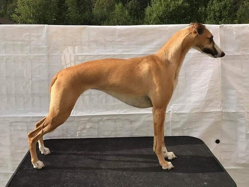 Mila Moja Brianna Mila Moja Brianna