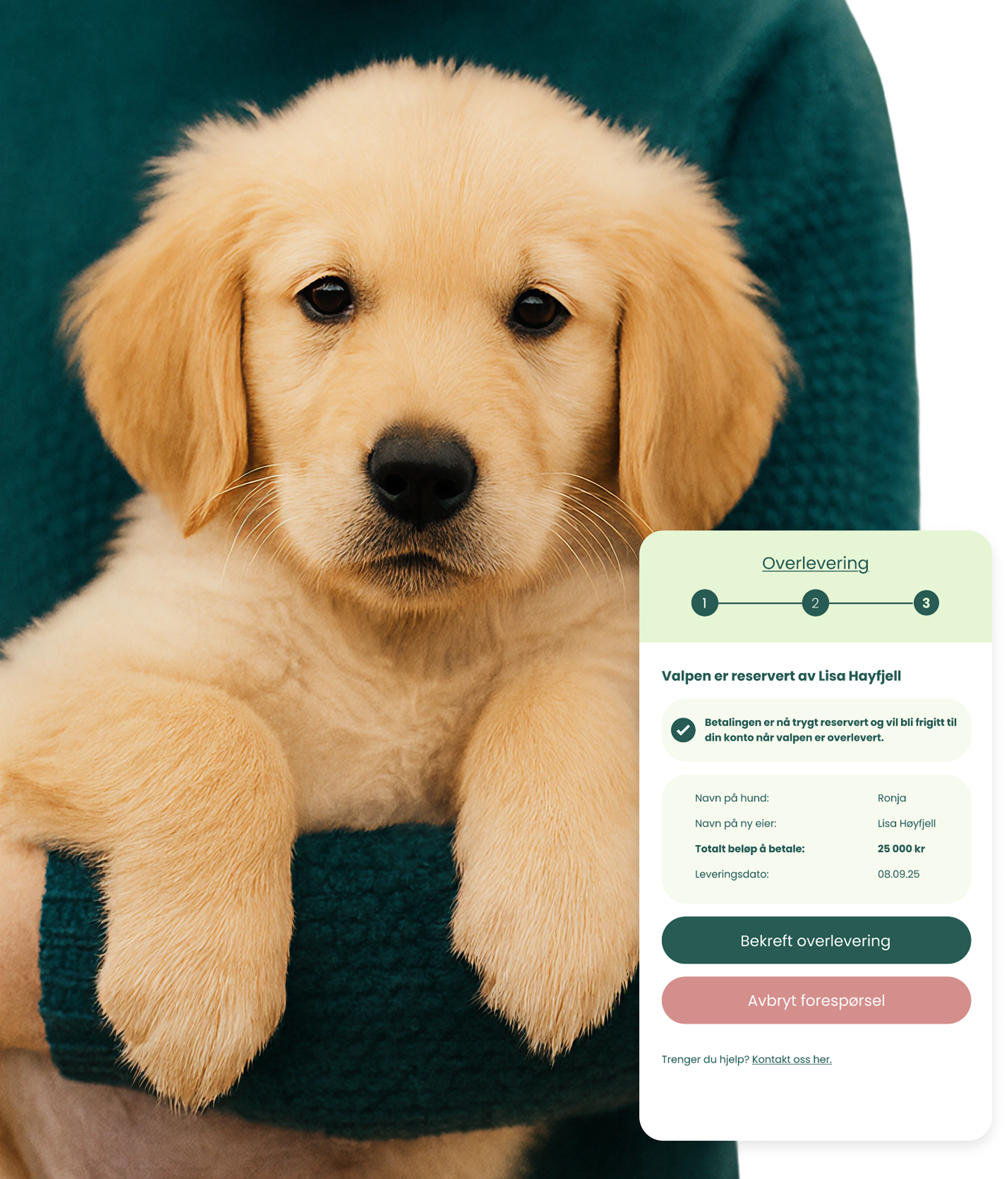 NYHET! Trygg betaling med Pond NYHET! Trygg betaling med Pond