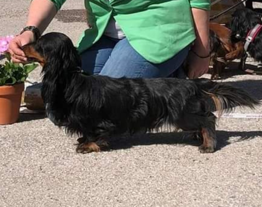 Vidiemra's The Johannes 3.16