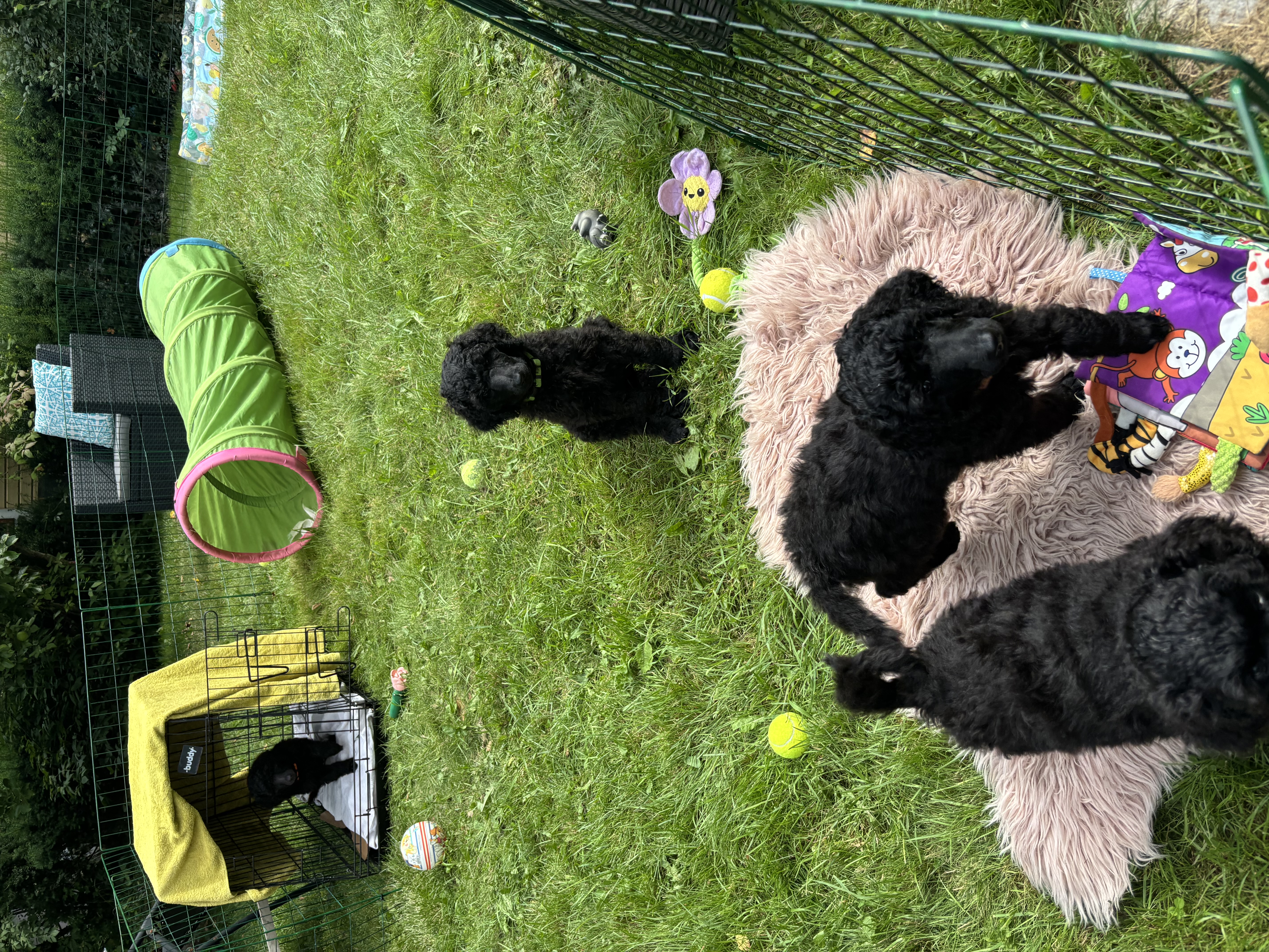 Mirianns pudler Mirianns pudler