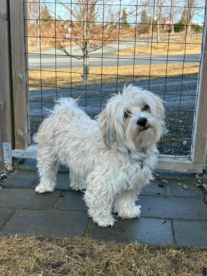 Rogell’s De Balder Rogell’s De Balder