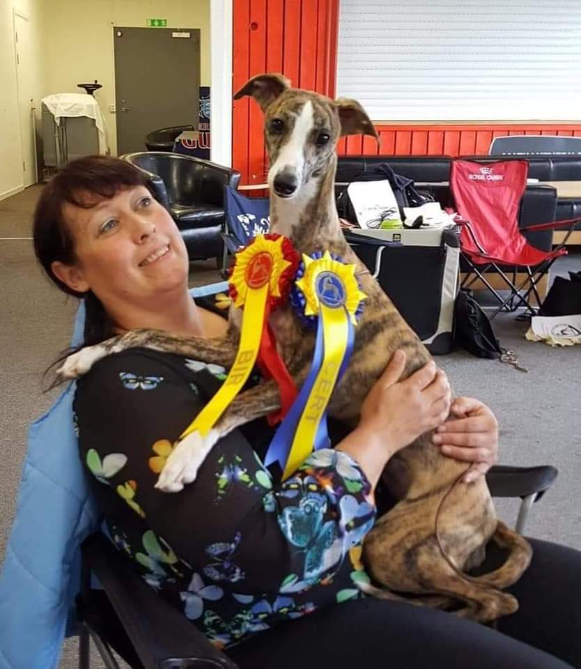 Hilde Mari Viola Jensen Hilde Mari Viola Jensen