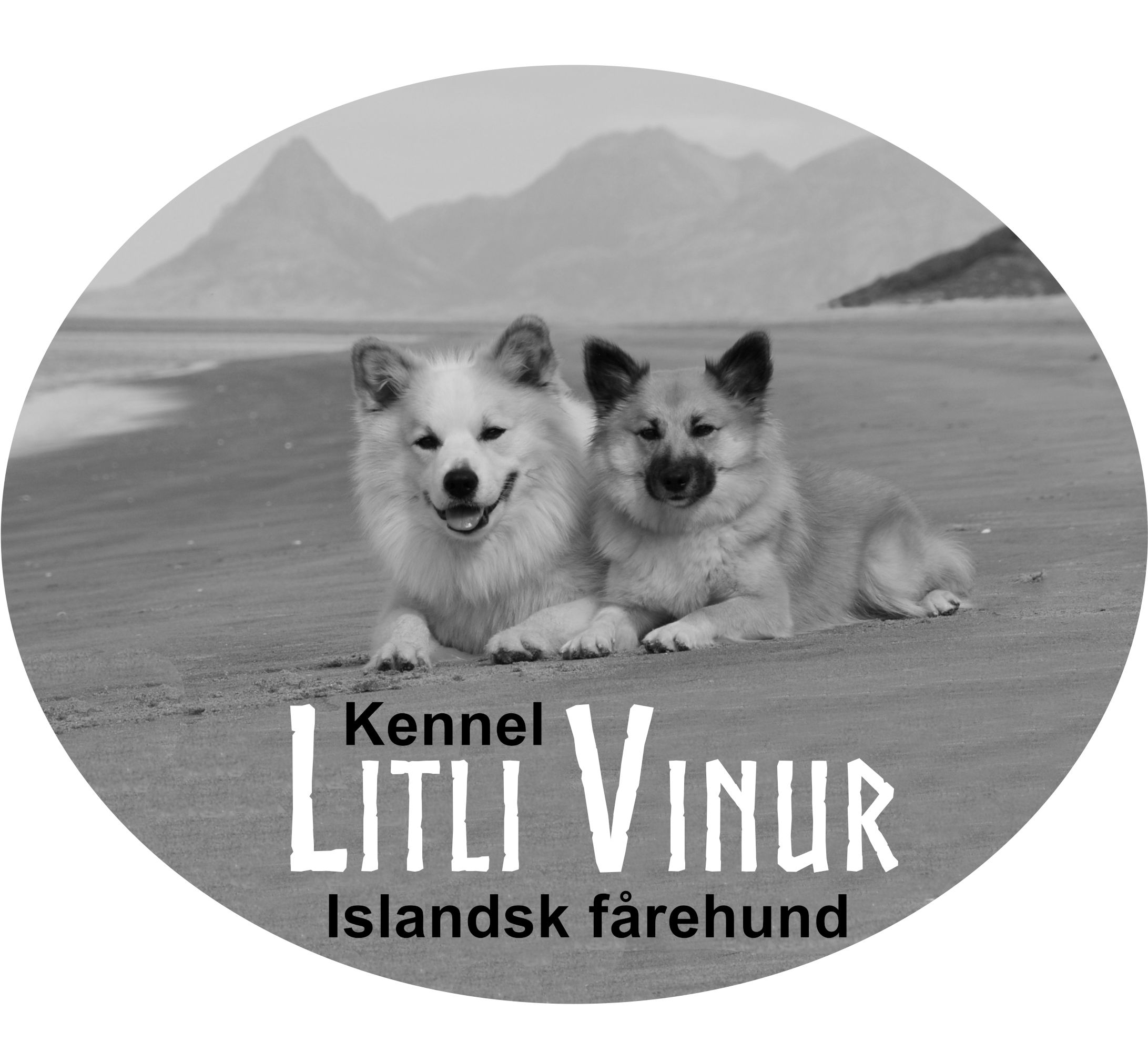 Litli Vinur Litli Vinur