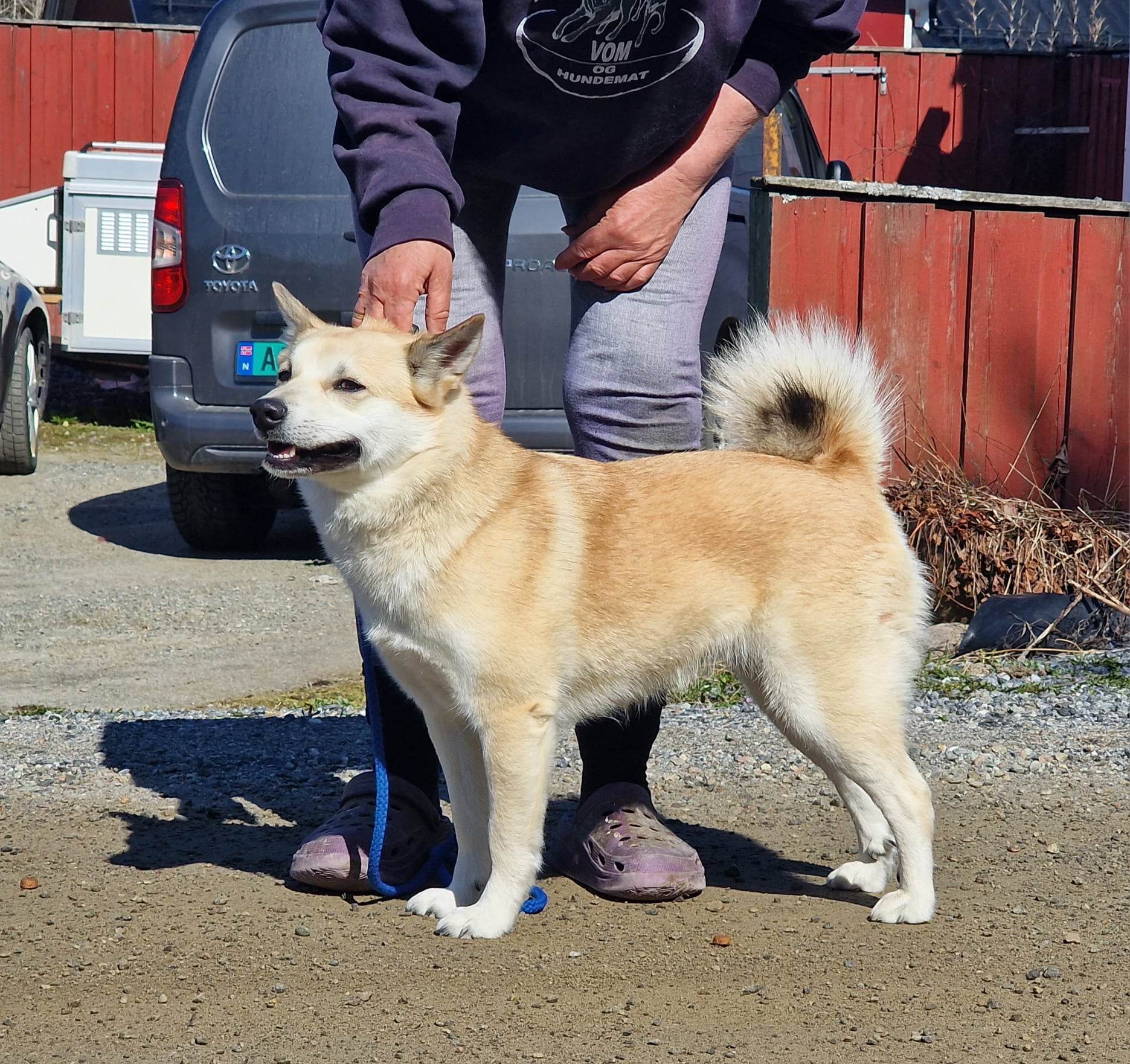 Bernegården's Zaga Bernegården's Zaga