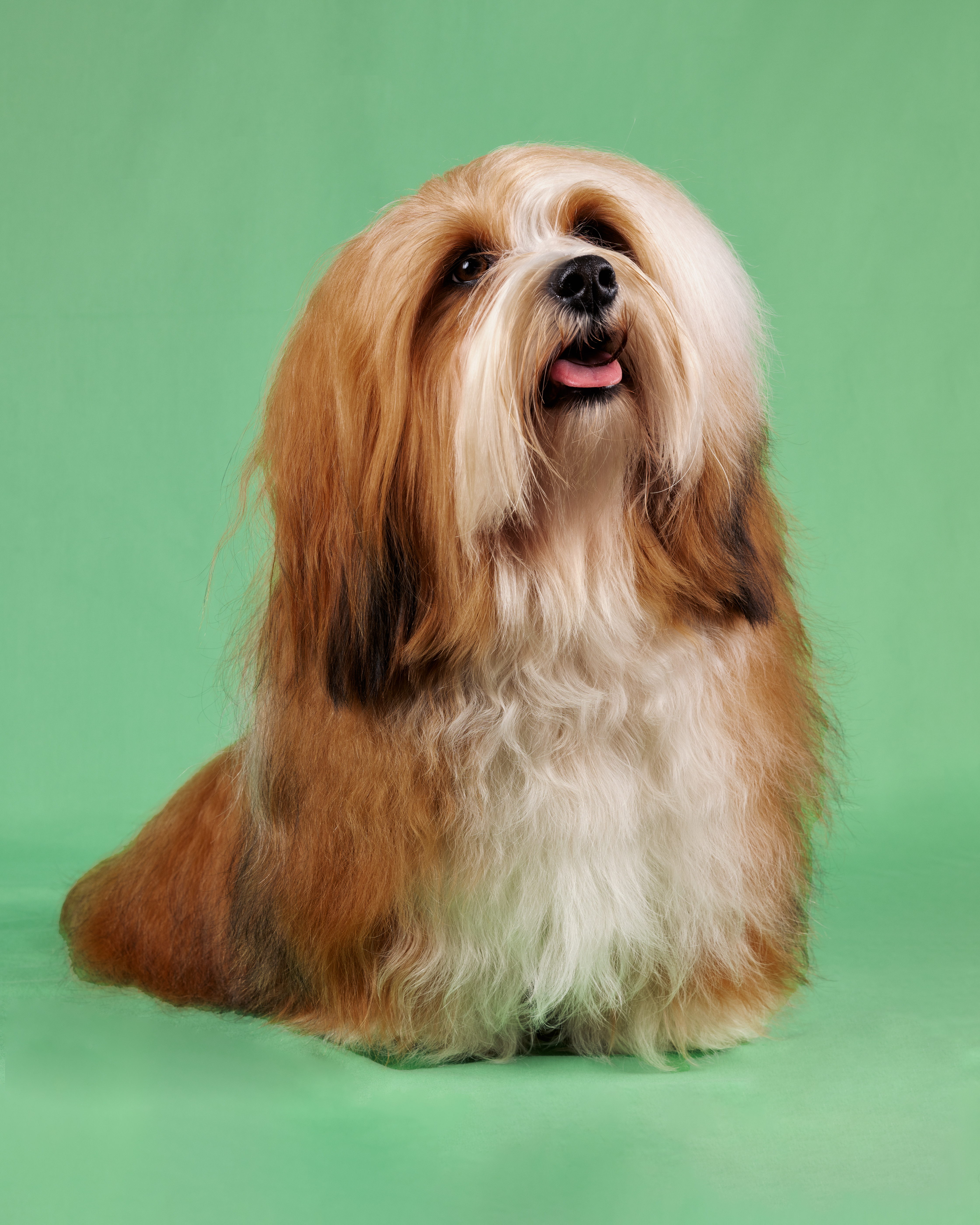 Margarita Aurora Sørensen Margarita Aurora Sørensen