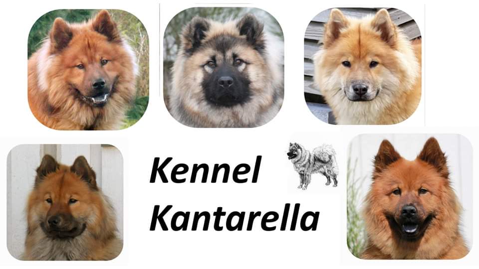Kennel Kantarella 