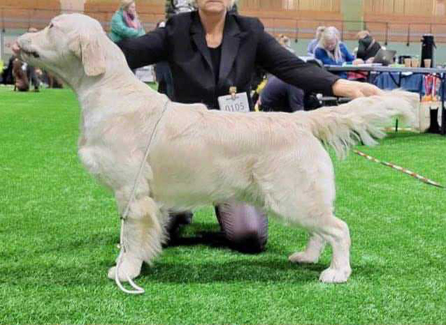 Valentino Of Sunshines Valley Valentino Of Sunshines Valley