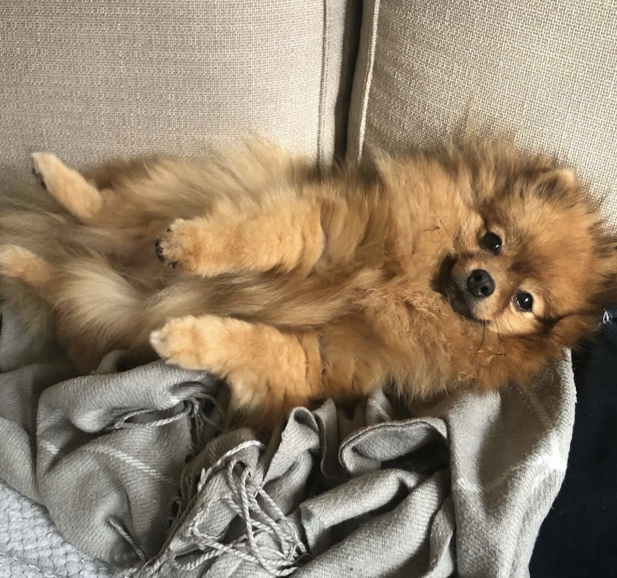 Villa Mimolas Friday I’m in Love Villa Mimolas Friday I’m in Love