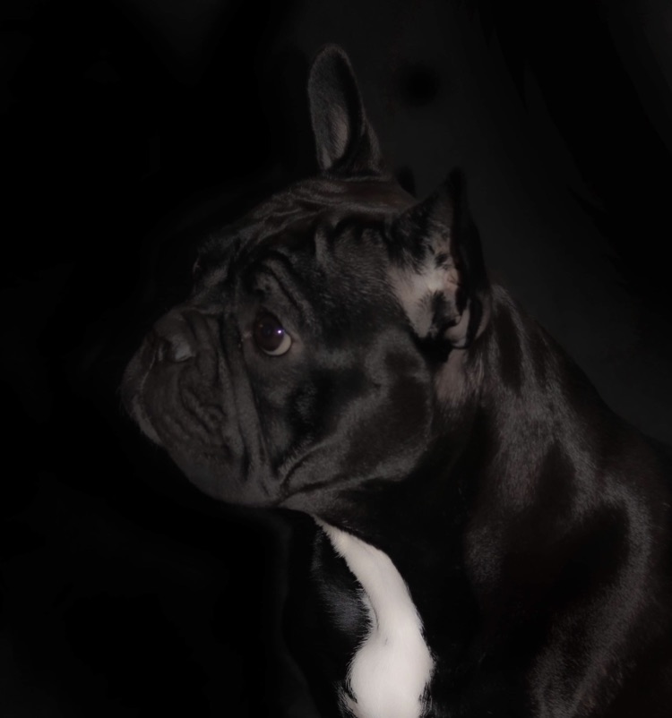 Monica Sørhage Monica Sørhage