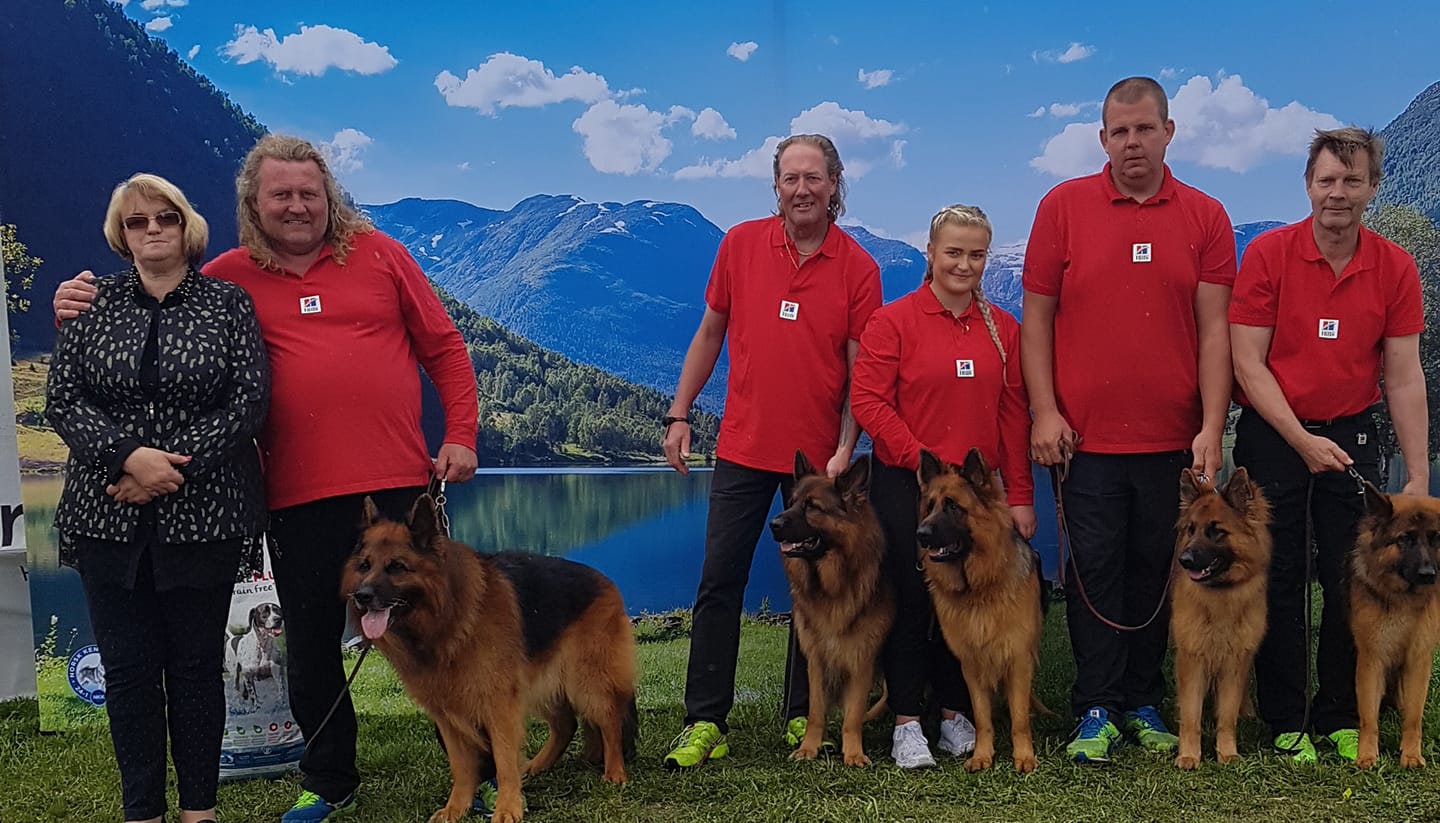 Tor Johansen Tor Johansen