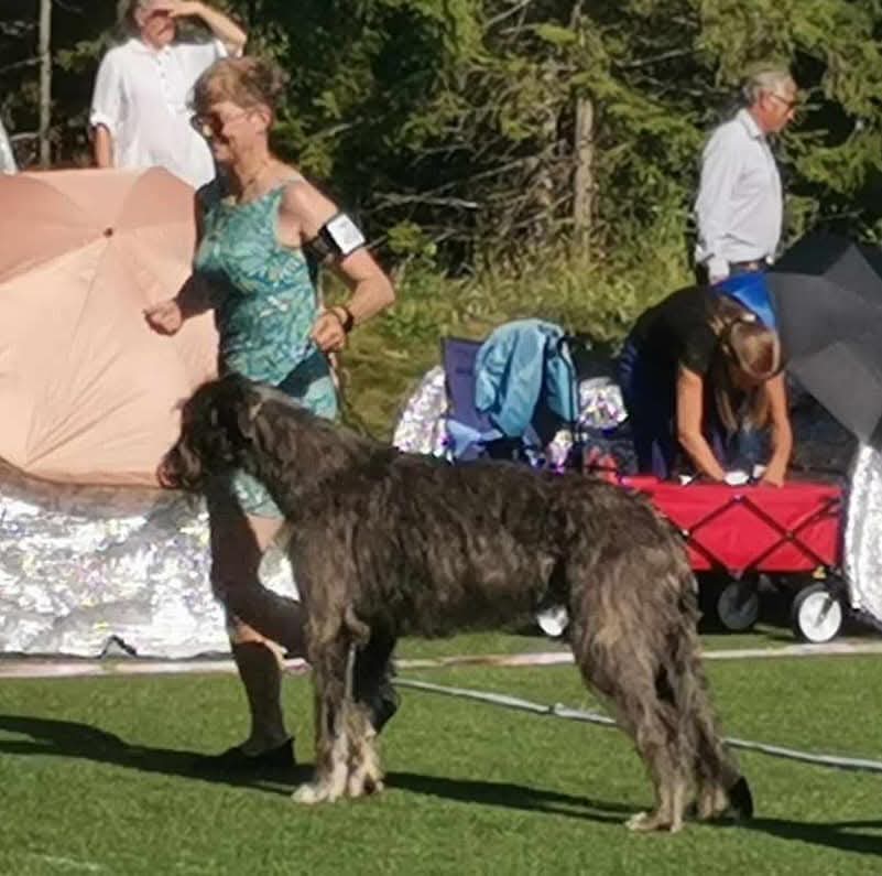 Pitlochry's Xclusive Edition Pitlochry's Xclusive Edition