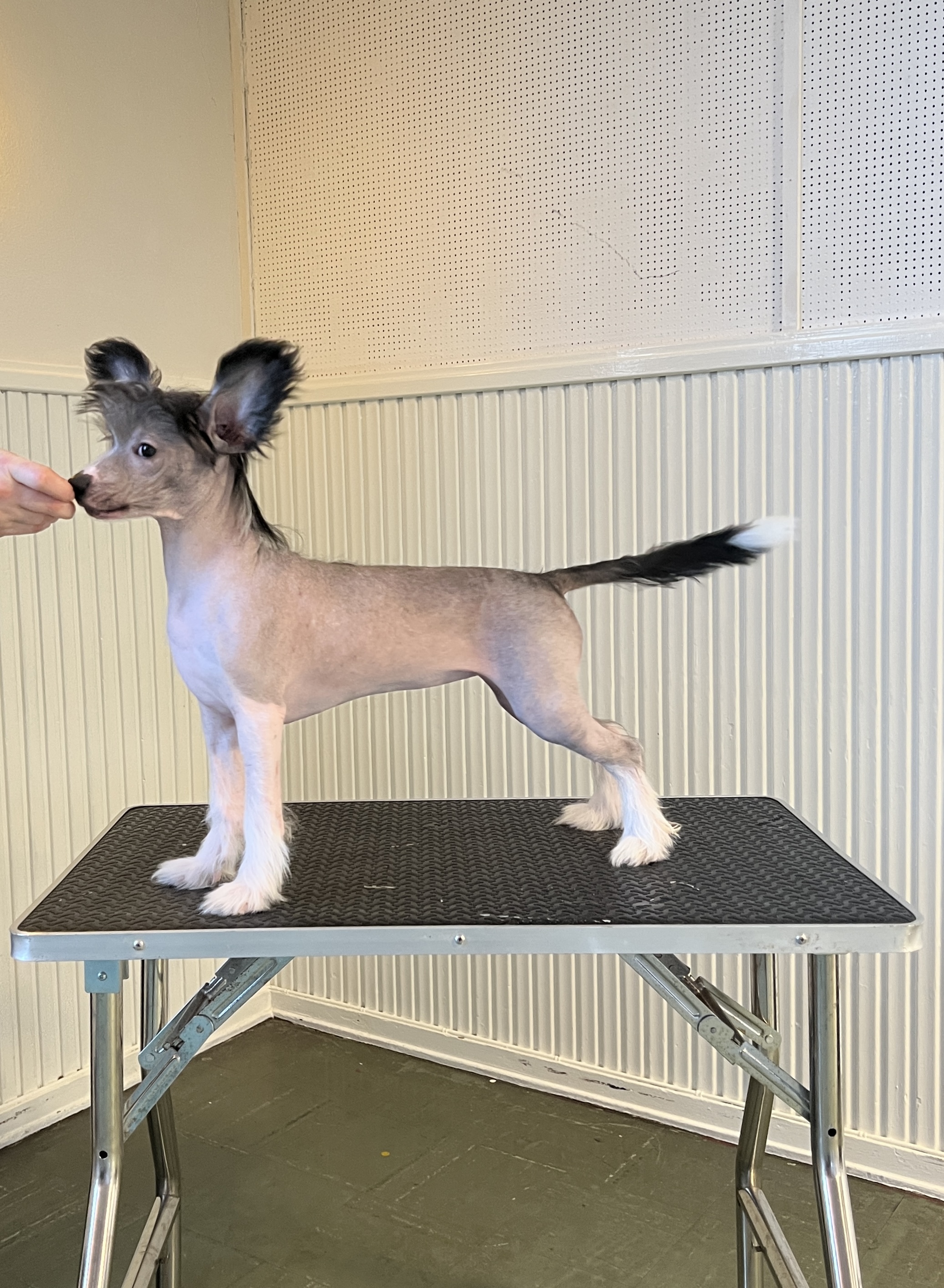 Girls Girls Naughty but Nice - Kaya Girls Girls Naughty but Nice - Kaya