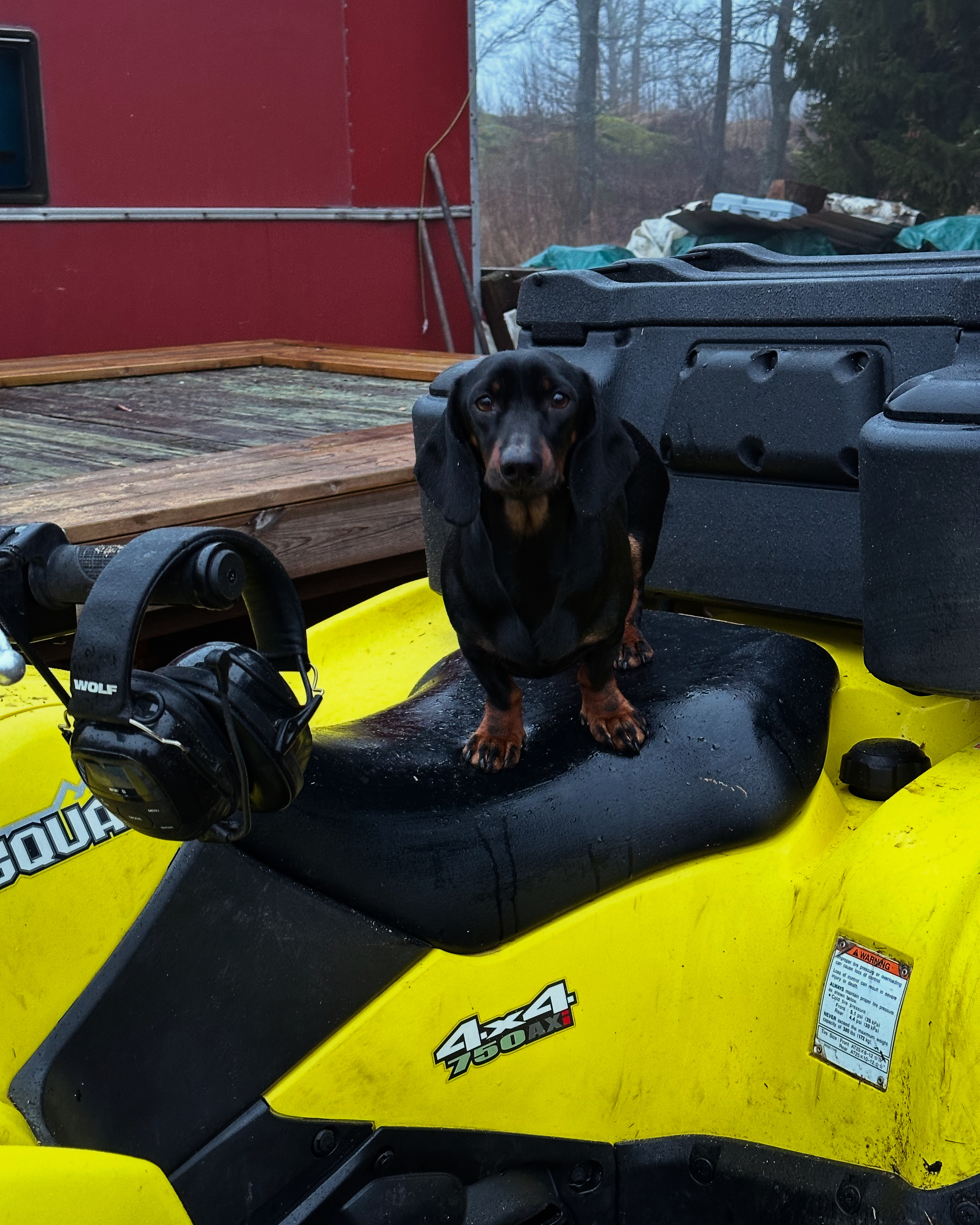 Jaktameras FD Linda Johansen Jaktameras FD Linda Johansen