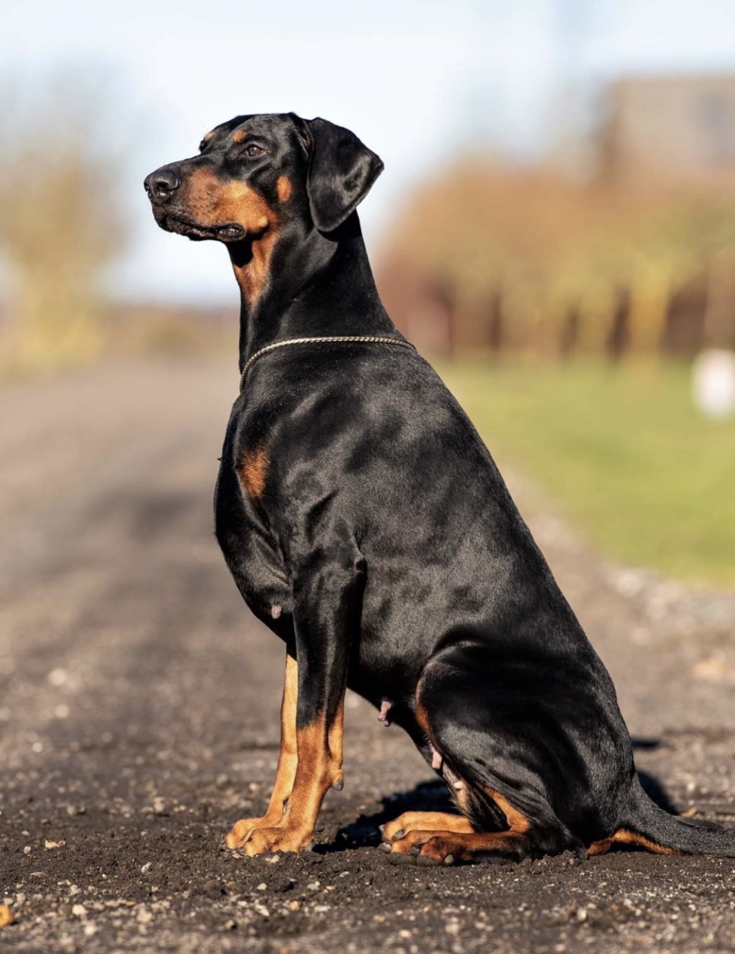 Iztaris Anvindr Iztaris Anvindr