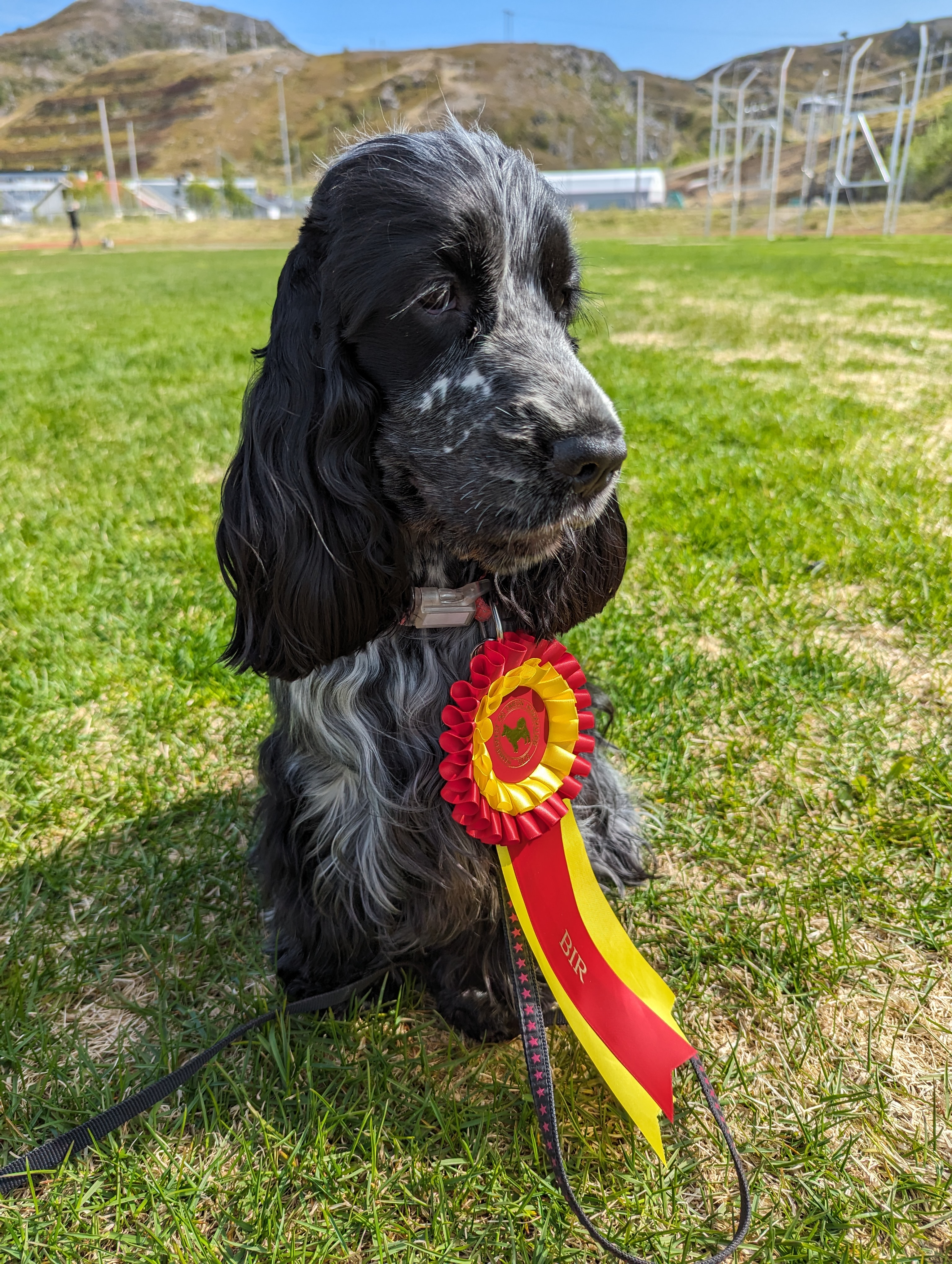 Idjagiedas Arja Idjagiedas Arja