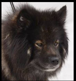 Elin Margrethe Fjellheim