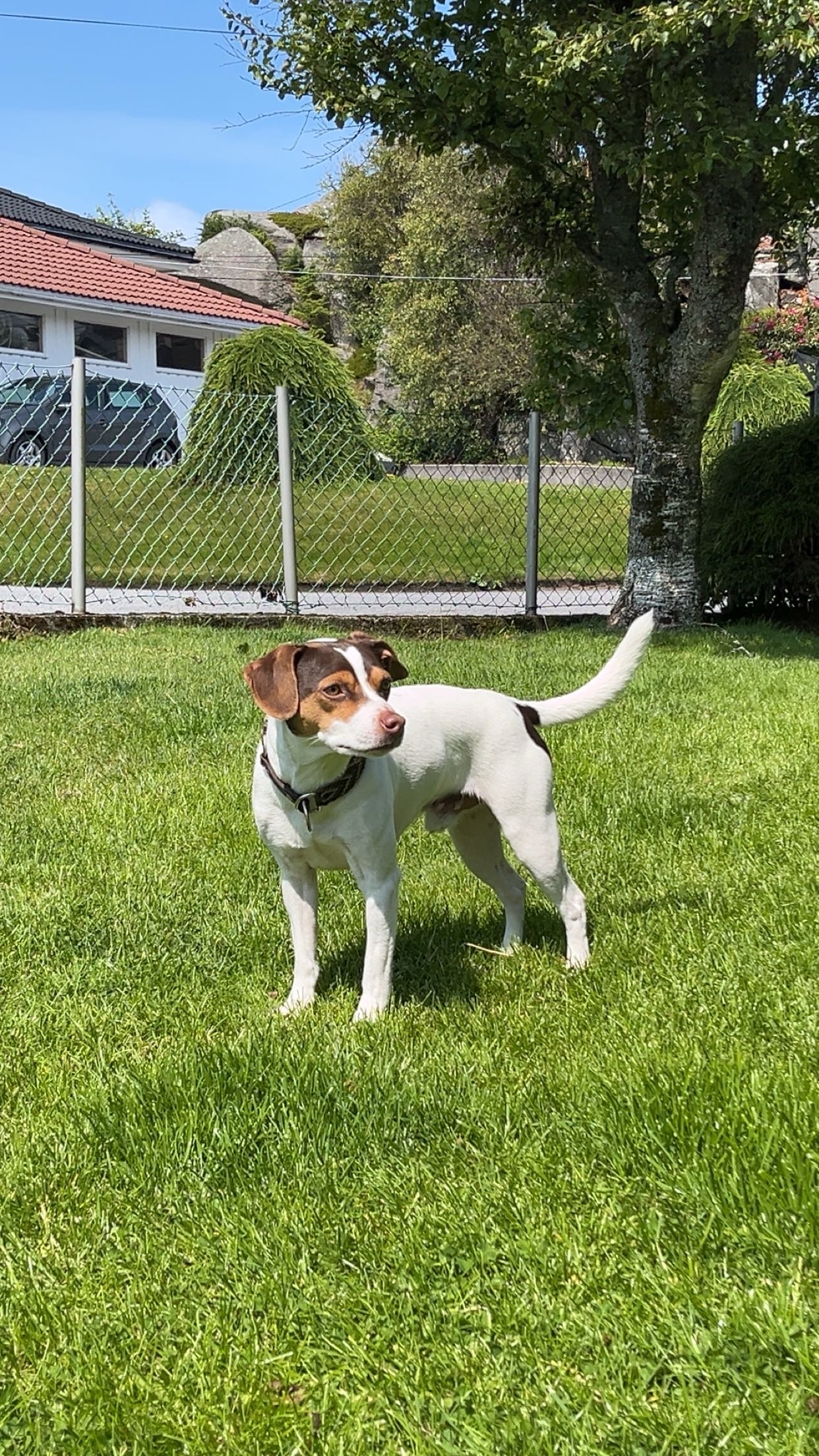 Lunnerbos Ferdinand Lunnerbos Ferdinand