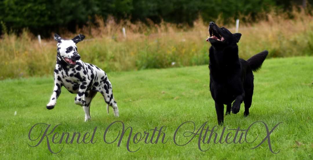 North AthletiX North AthletiX