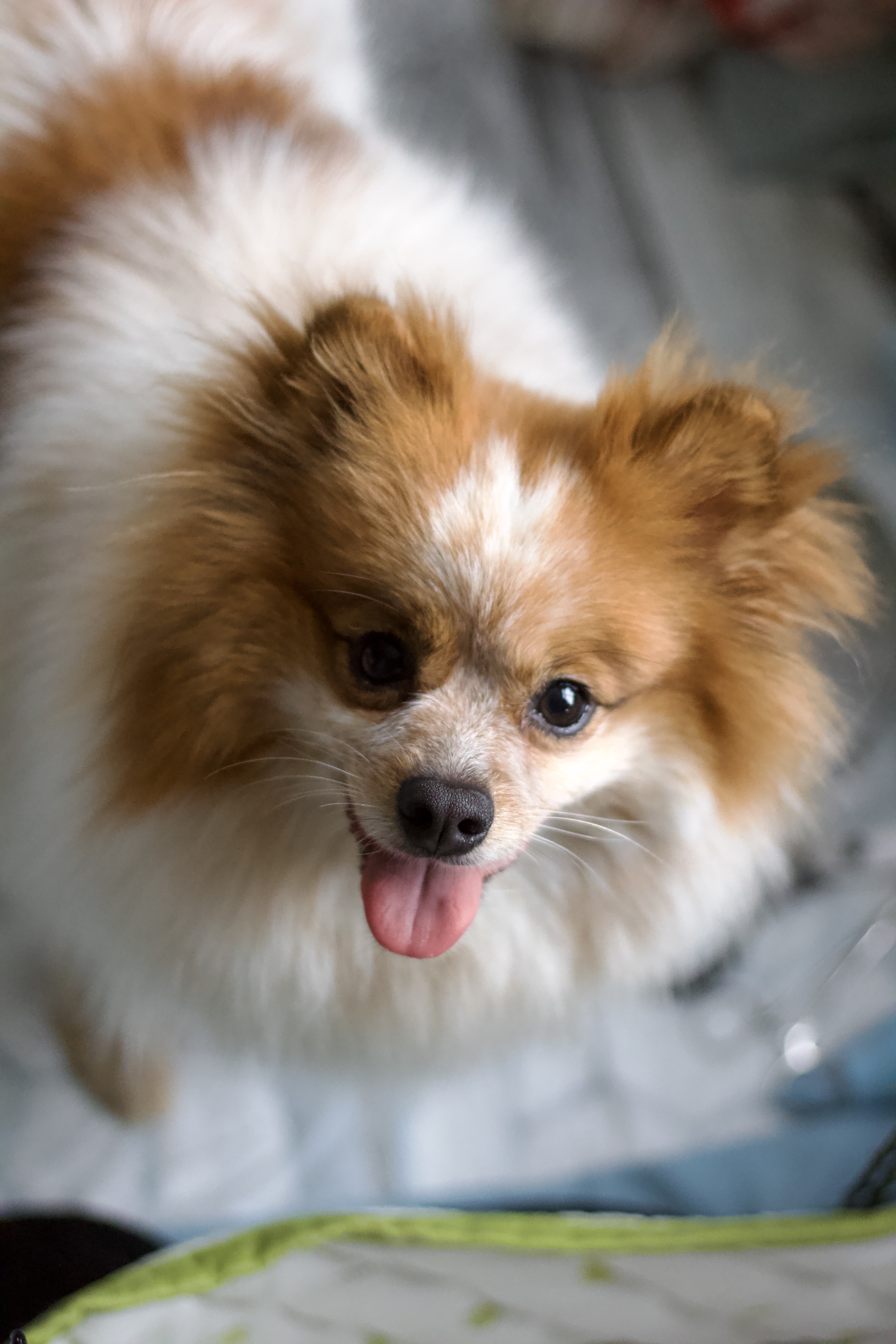 Gudlejonets Rock Me Like A Ocean