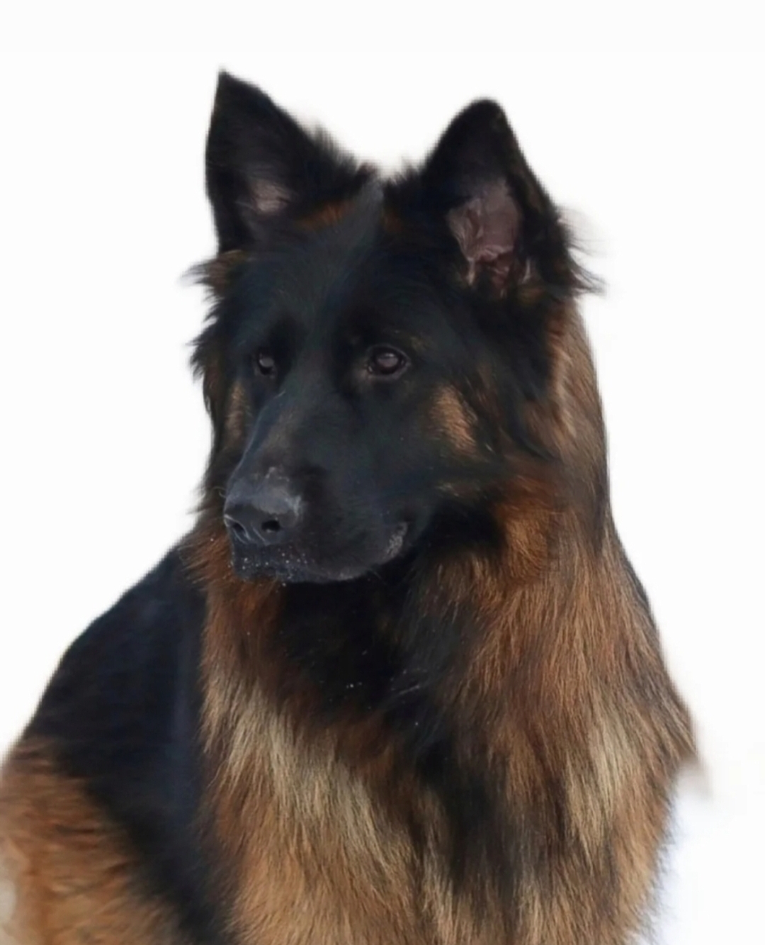 Evy Høiby Evy Høiby