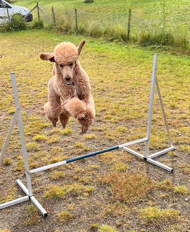 Rayos De Som Sahara Rayos De Som Sahara
