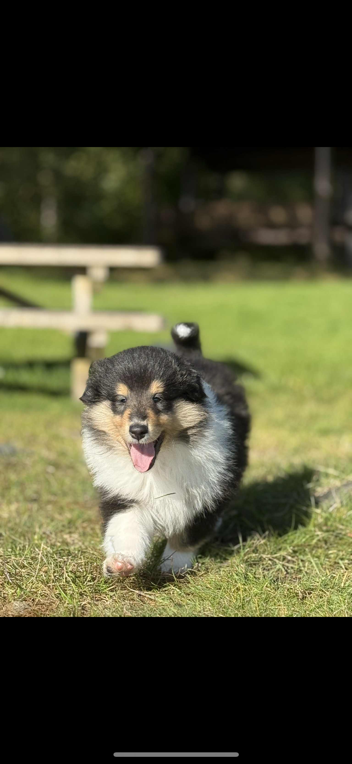 BeautyFluff Born to love you