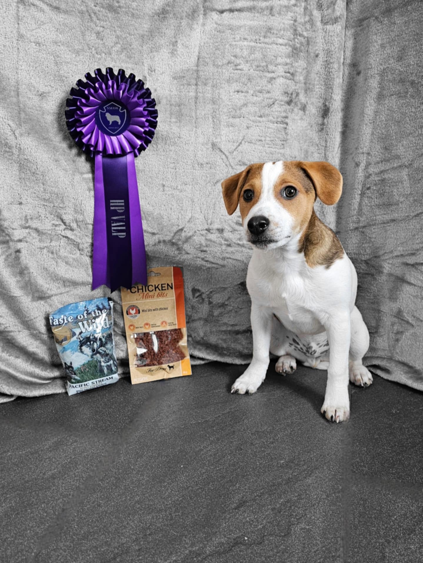 Ann Charlott Simonsen Ann Charlott Simonsen