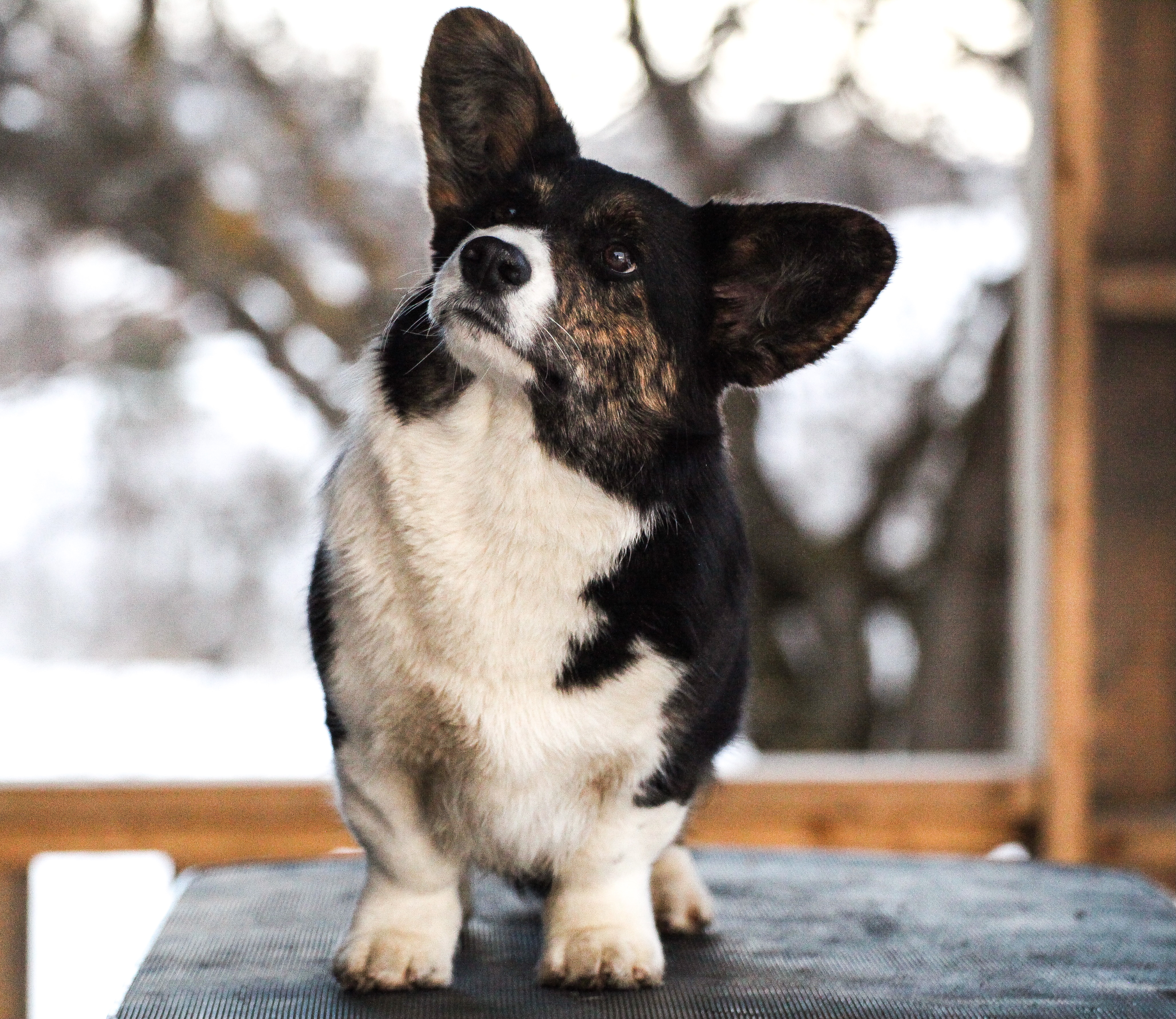 HenniHenka's Call Me Madam HenniHenka's Call Me Madam