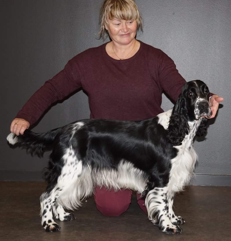 Tone Lynmo Tone Lynmo