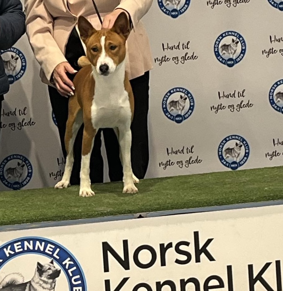 New Edition av Chimlin New Edition av Chimlin