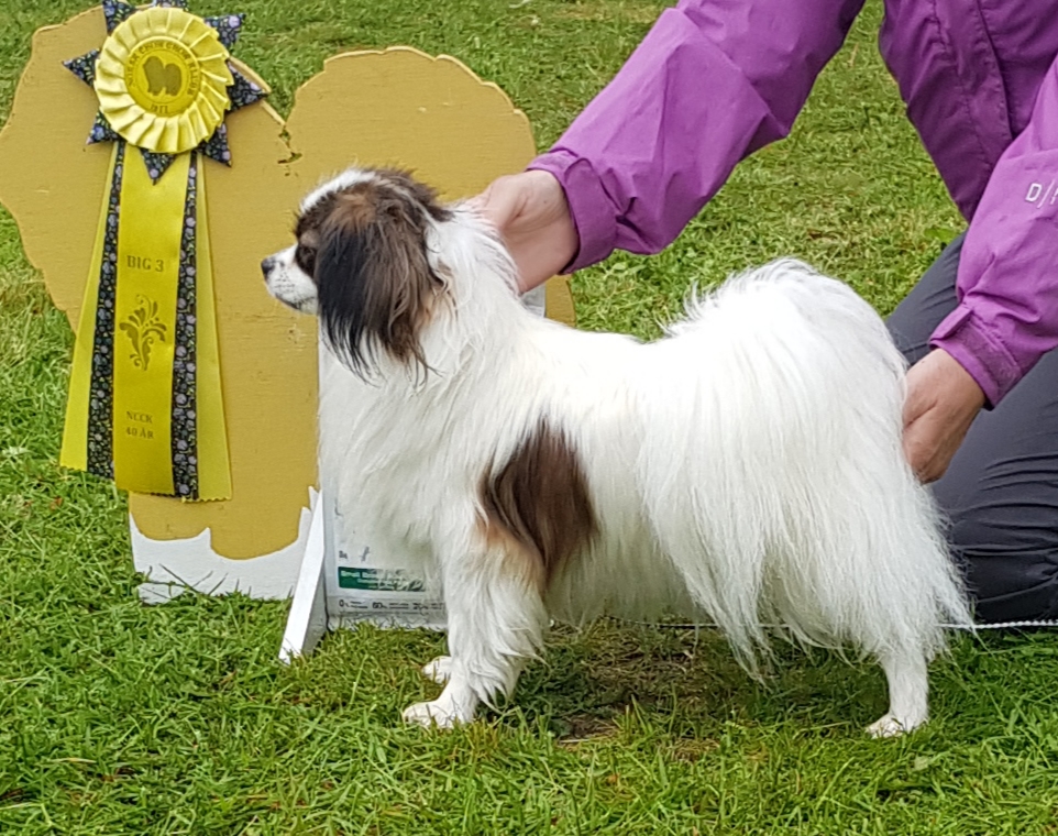 Mirramiss White Diamond 