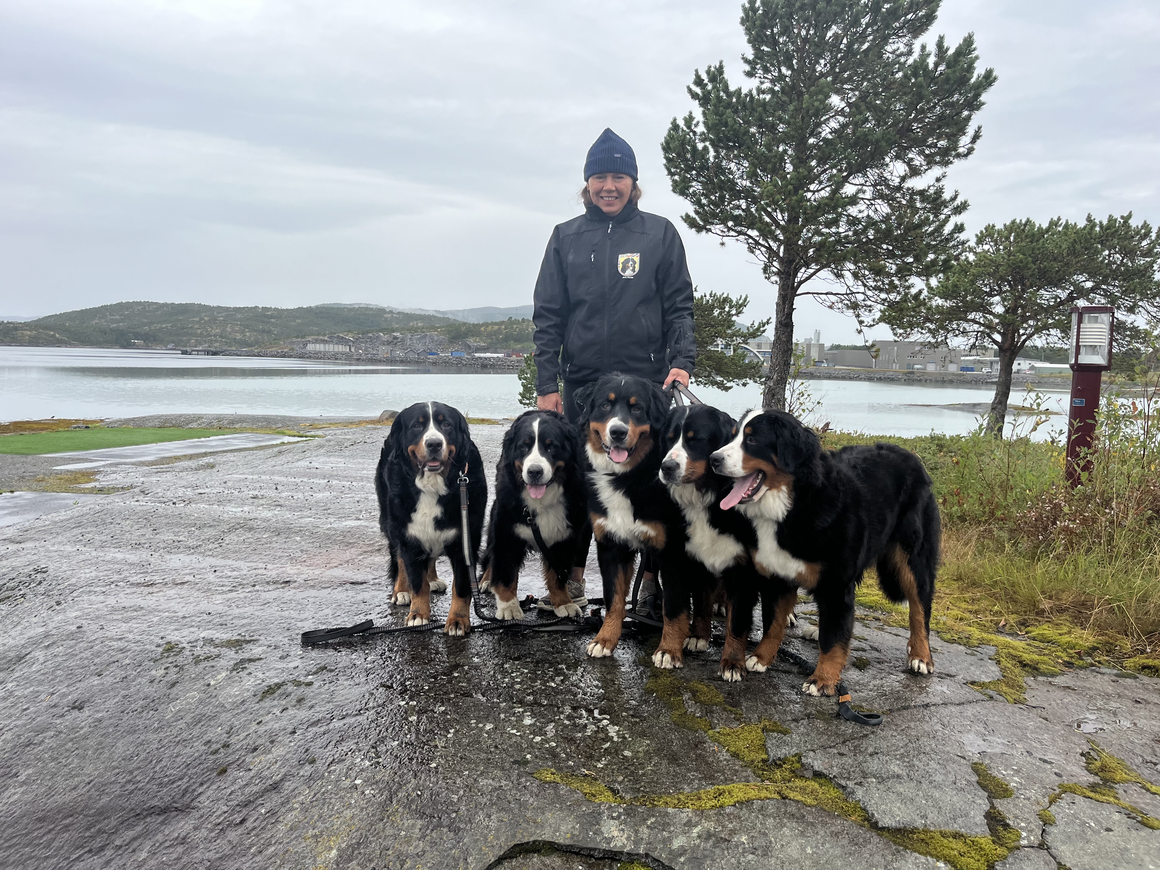 Kennel Solbergnes Kennel Solbergnes