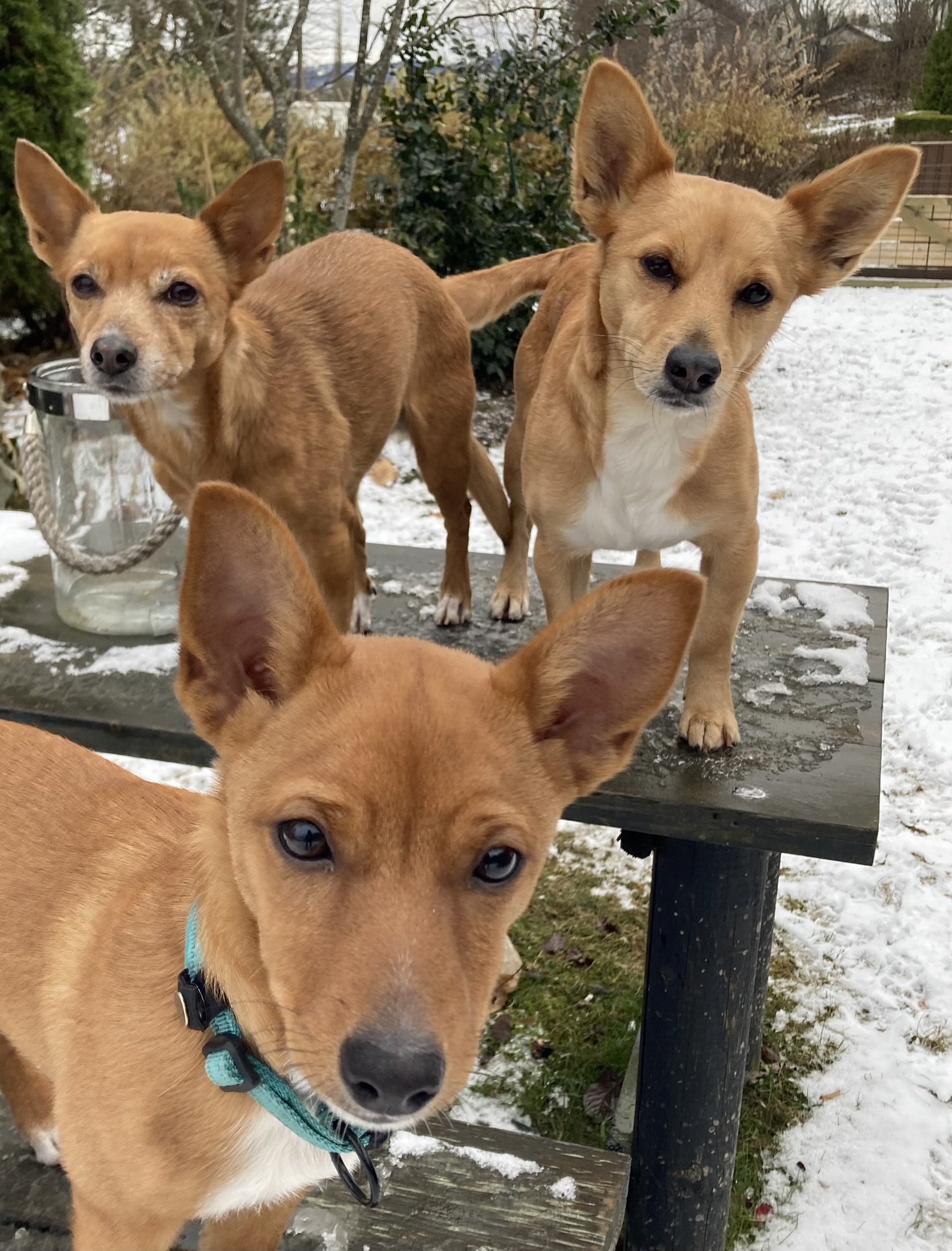 Kari Evjen Kari Evjen