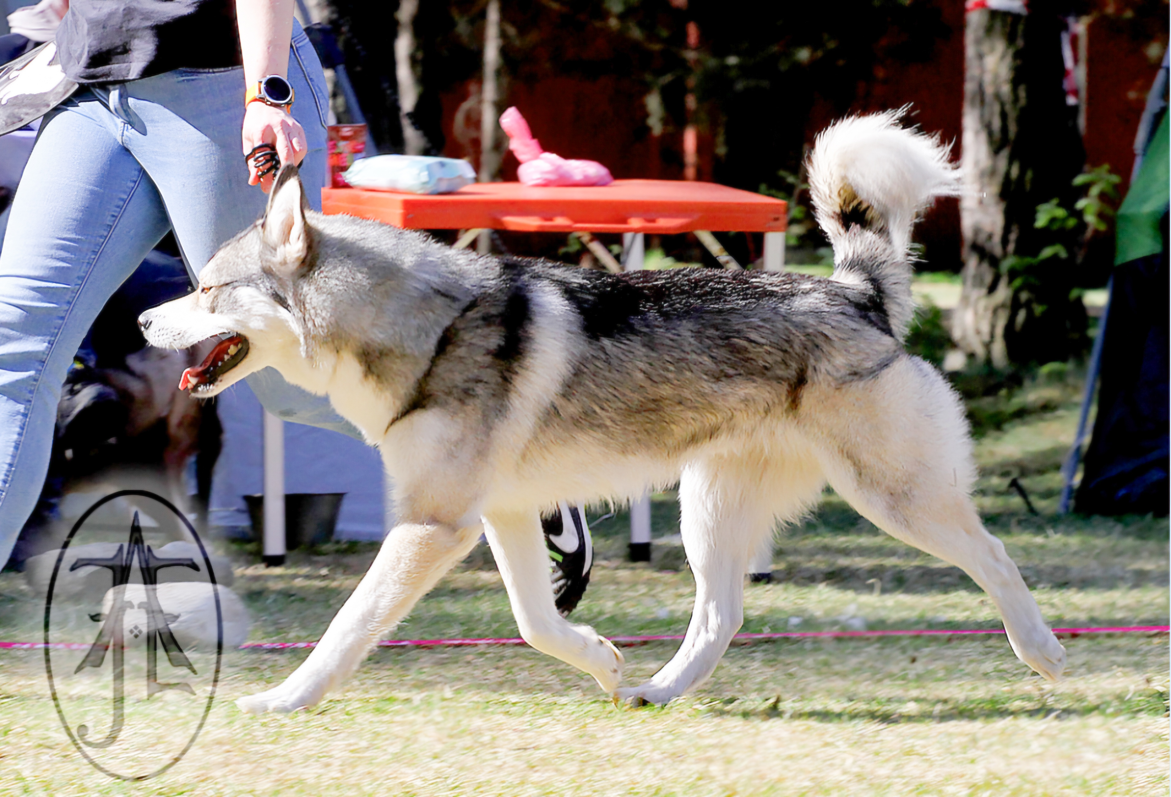 Sheza Classic Esprit Sheza Classic Esprit