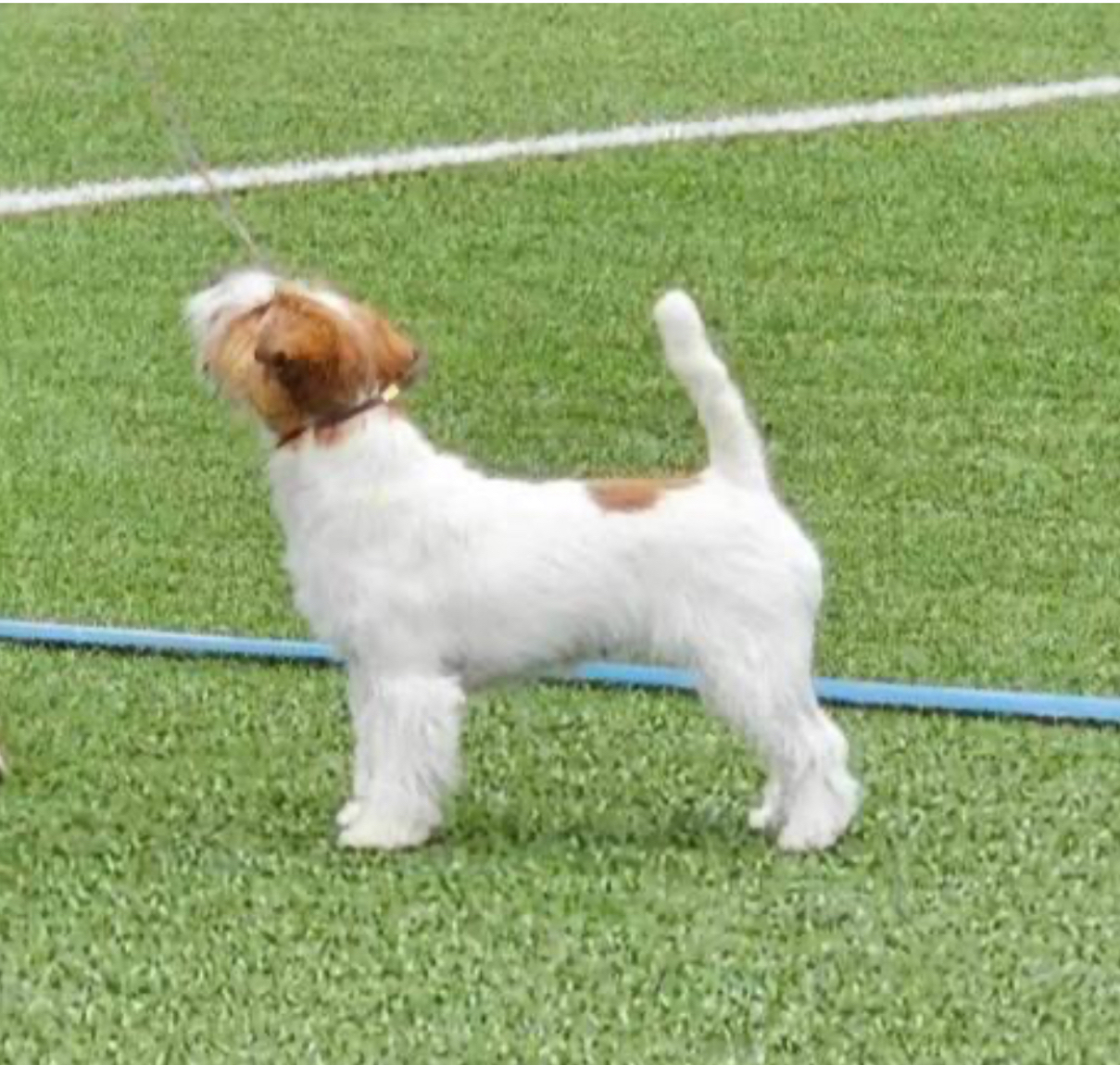 Valeras Lagertha Valeras Lagertha